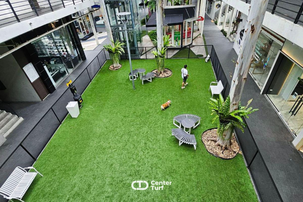 พบเจอกับบรรยากาศที่หลากหลายและหญ้าเทียมสามารถอยู่ร่วมกับผู้คนเเละสัตว์เลี้ยงได้ดีอีกด้วย