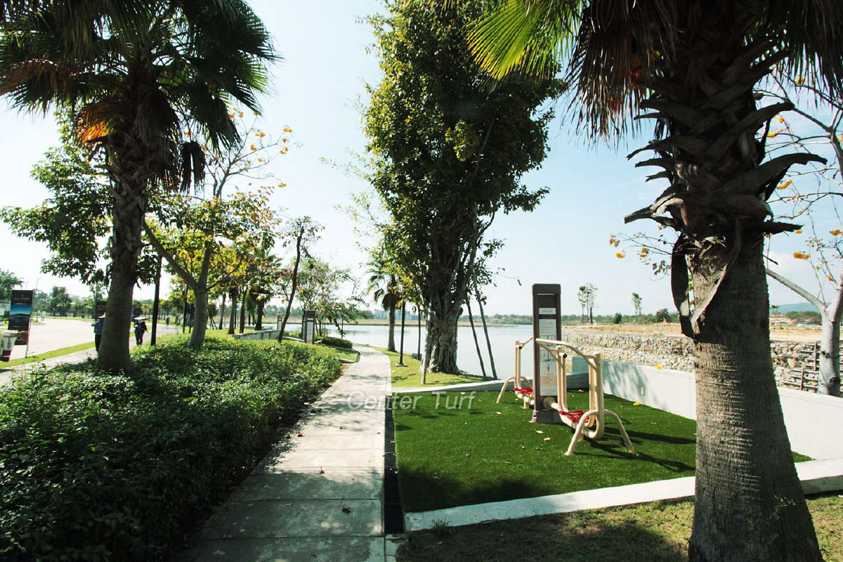 หญ้าเทียมริมน้ำ