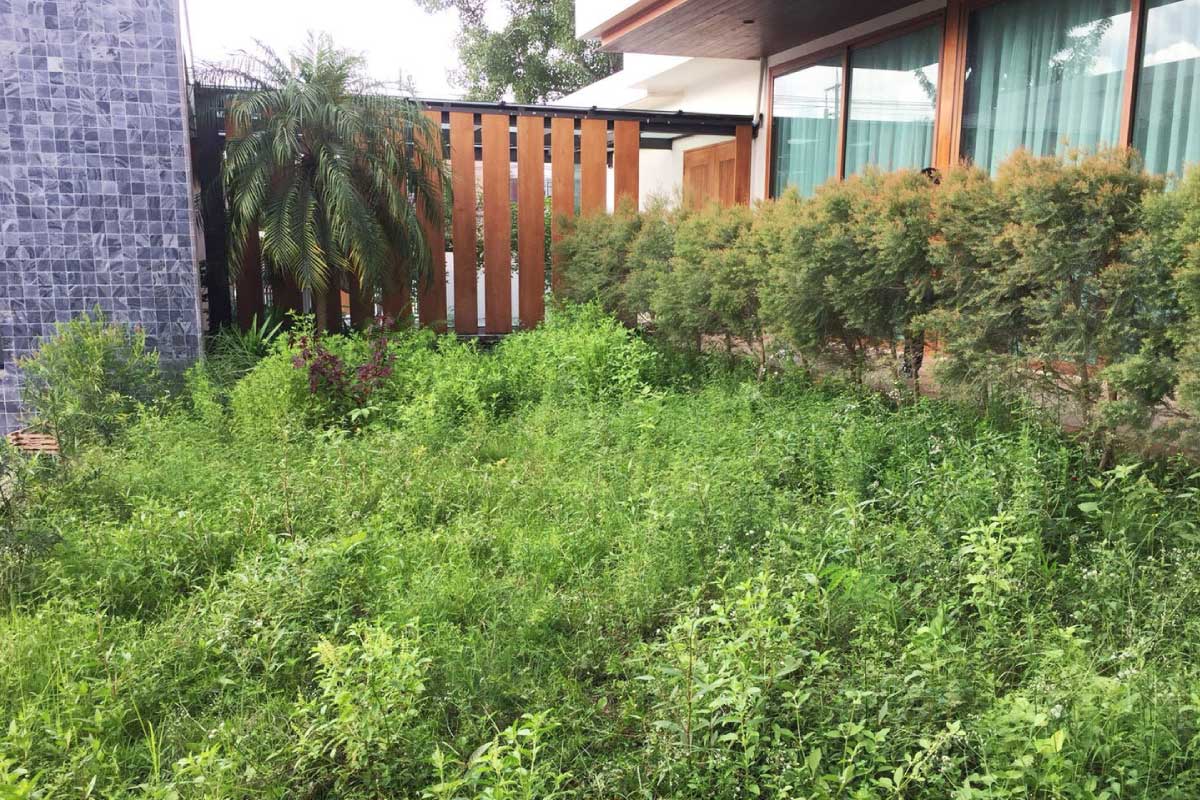 หญ้าเทียมจัดสวน