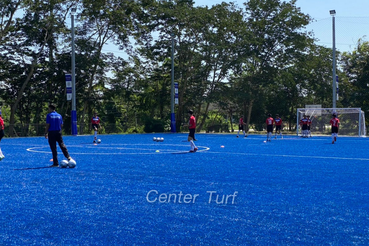 สนามฟุตบอลหญ้าเทียม King Power รร.ท่าลี่วิทยา จ.เลย