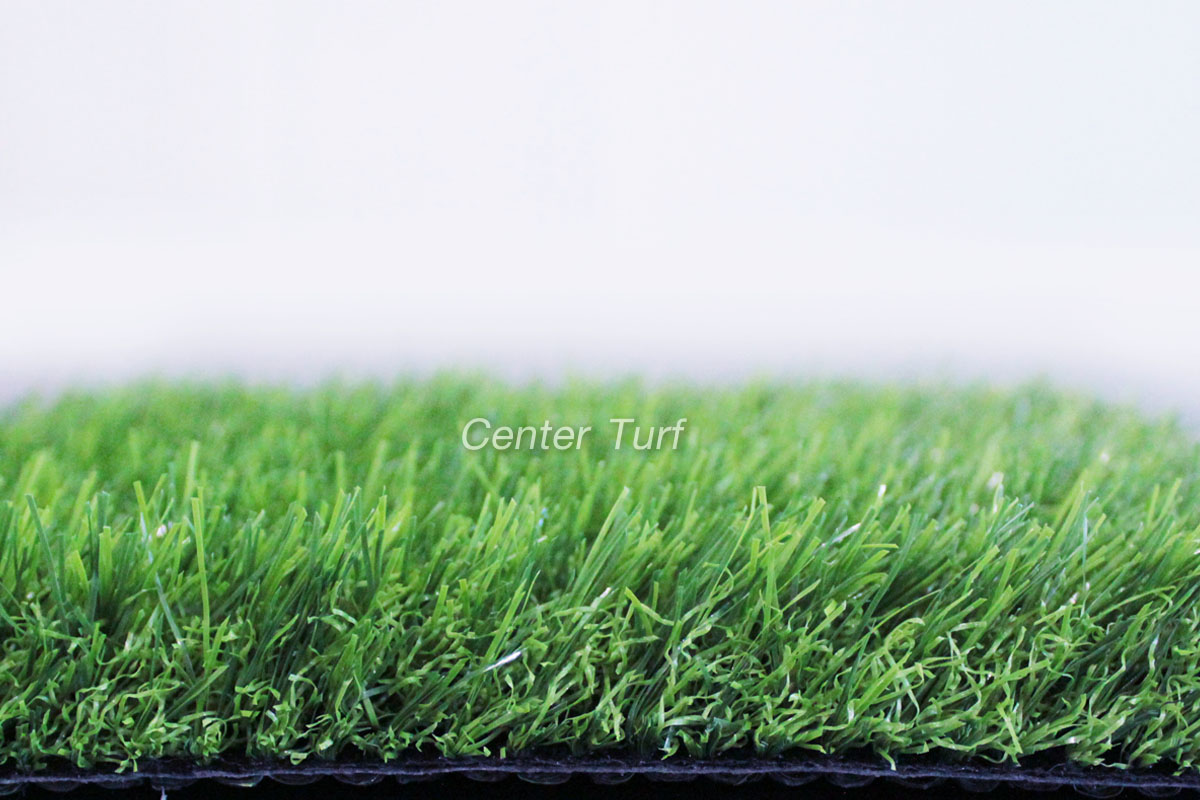 โปรโมชั่นใหม่ประจำเดือน กรกฎาคม 2561