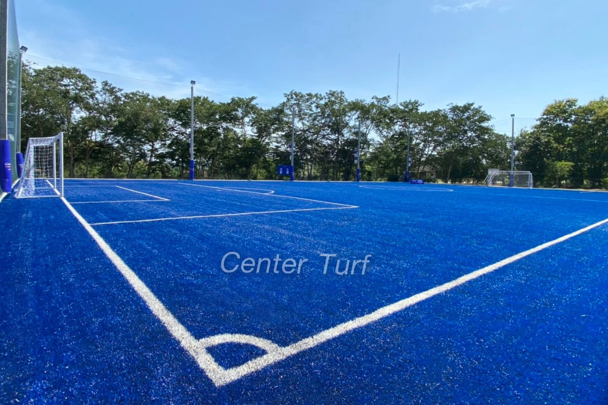 สนามฟุตบอลหญ้าเทียม King Power รร.ท่าลี่วิทยา จ.เลย