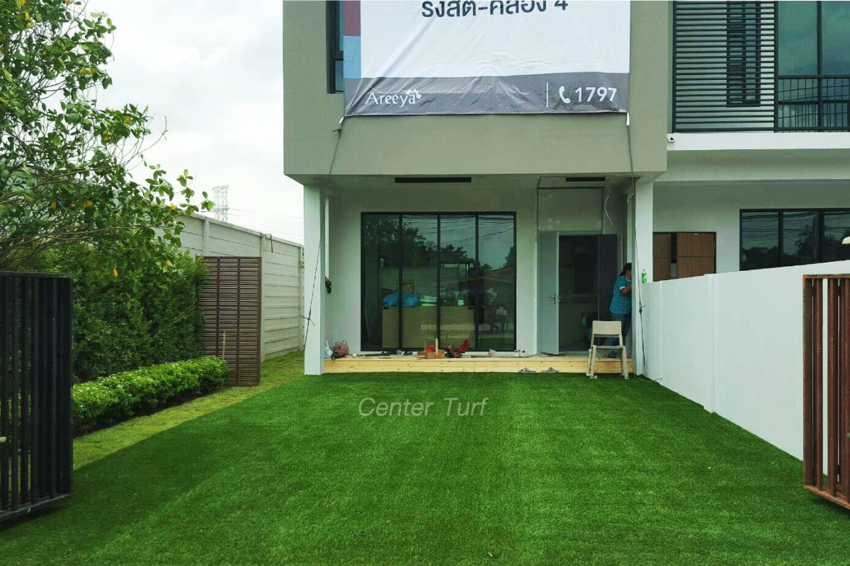 ทาวน์โฮม เดอะคัลเลอร์ส