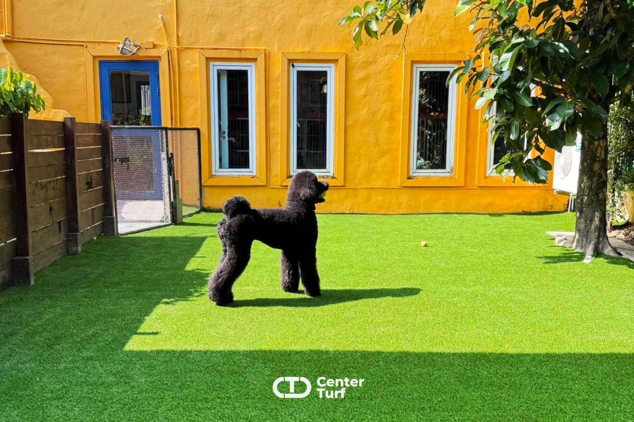 เปลี่ยนสวนให้เป็นสวรรค์ของสัตว์เลี้ยงที่คุณรัก