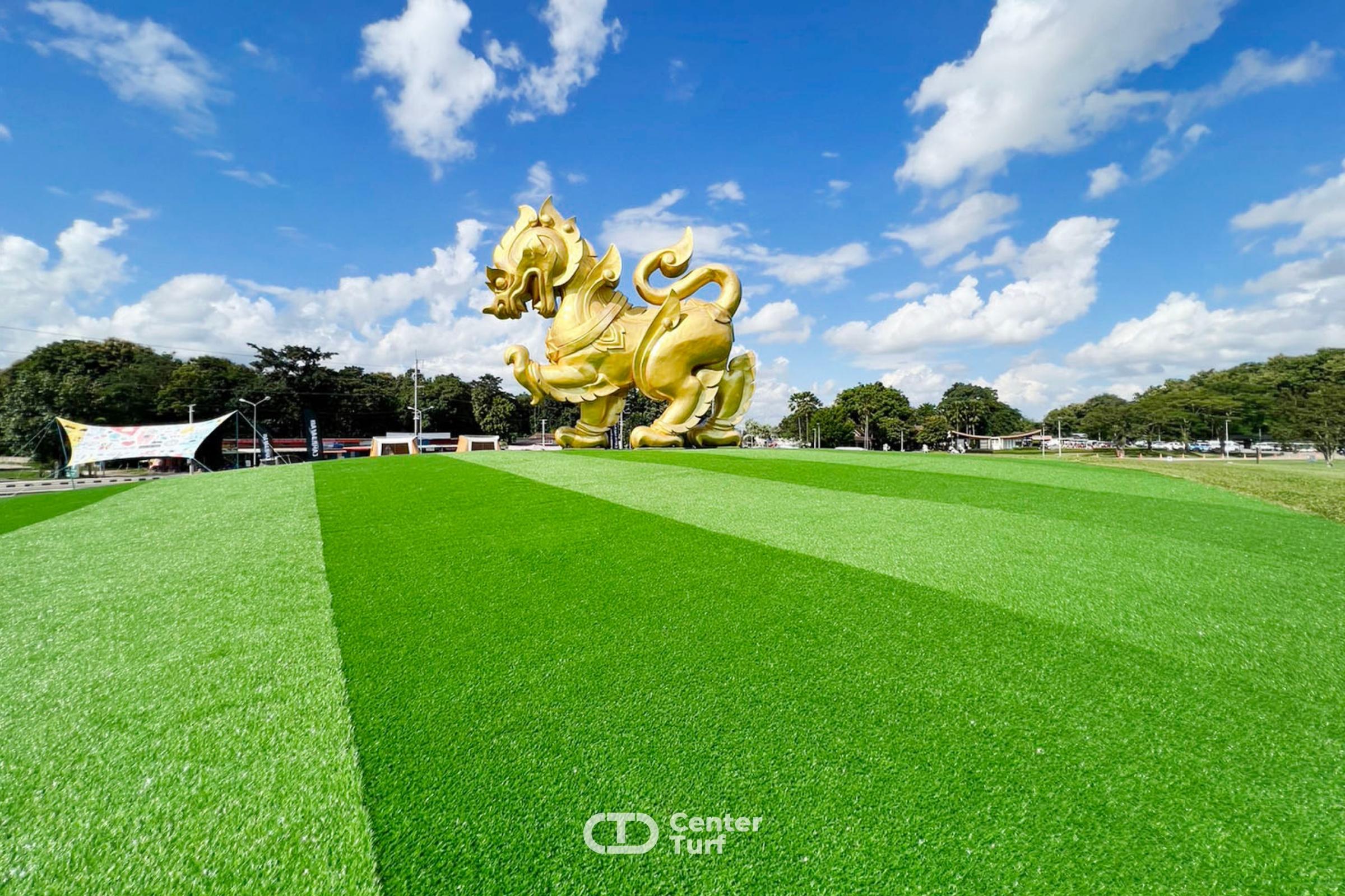 สร้างแลนด์มาร์คด้วยสนามหญ้าเทียมช่วยดึงดูดในทุกสายตา@สิงค์ปาร์ค จ.เชียงราย