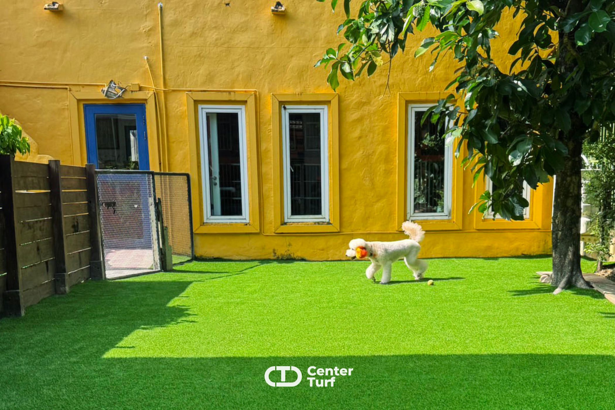 หมดปัญหาพื้นเลอะจากฝน ขุดดินกระจาย หรือหญ้าเหี่ยวเฉา แถมยังมีพื้นที่ให้เขาวิ่งเล่นได้ทุกวัน