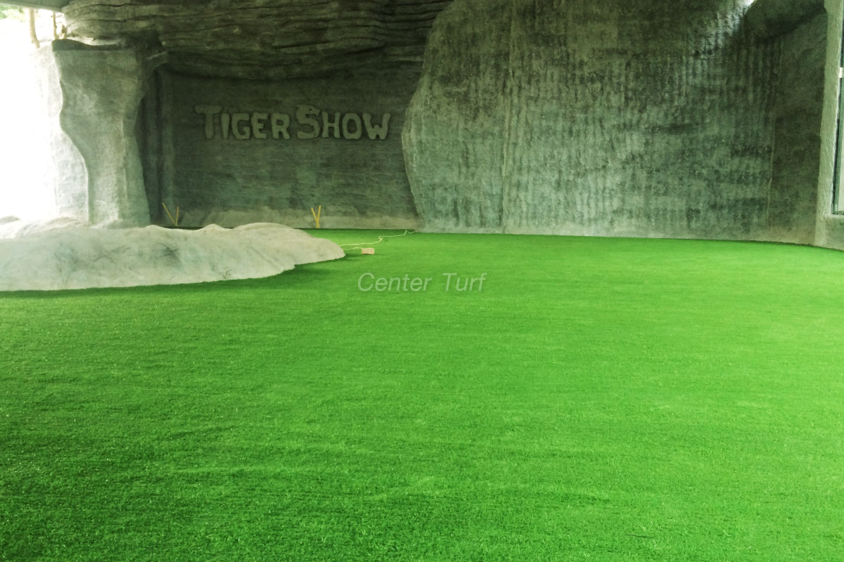 The Tiger Show - เชียงใหม่ไนท์ซาฟารี