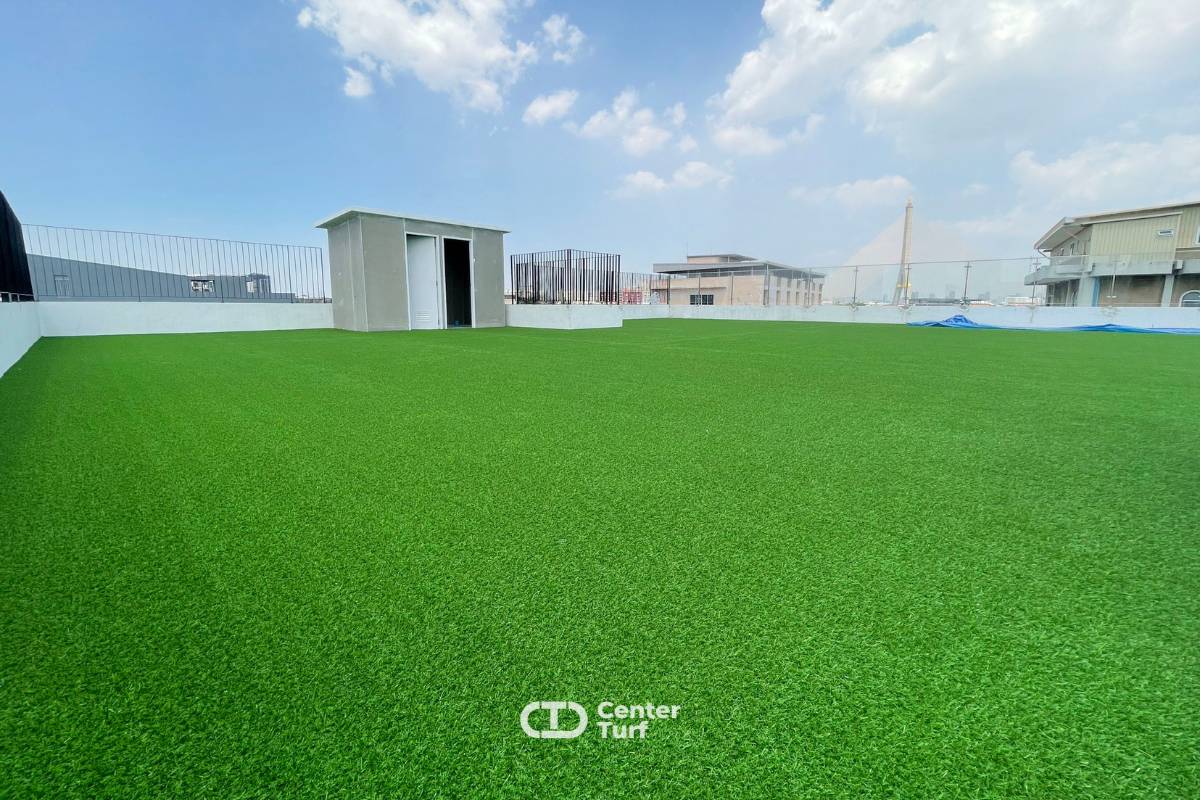 ถึงแม้จะต้องอยู่กลางแจ้งตลอดเวลาก็ยังสวยและมีชีวิตชีวาในทุกครั้งที่ใช้งาน