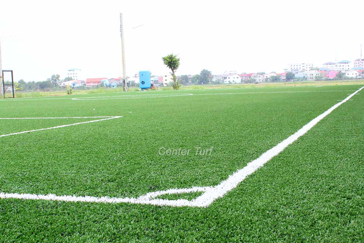 สนามฟุตบอลสปอร์ตพาราไดรฟ์