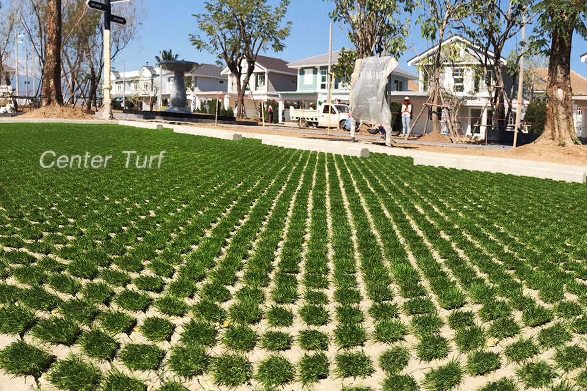 ติดตั้งหญ้าเทียมในบล็อก โครงการ Land and Houses Villaggio