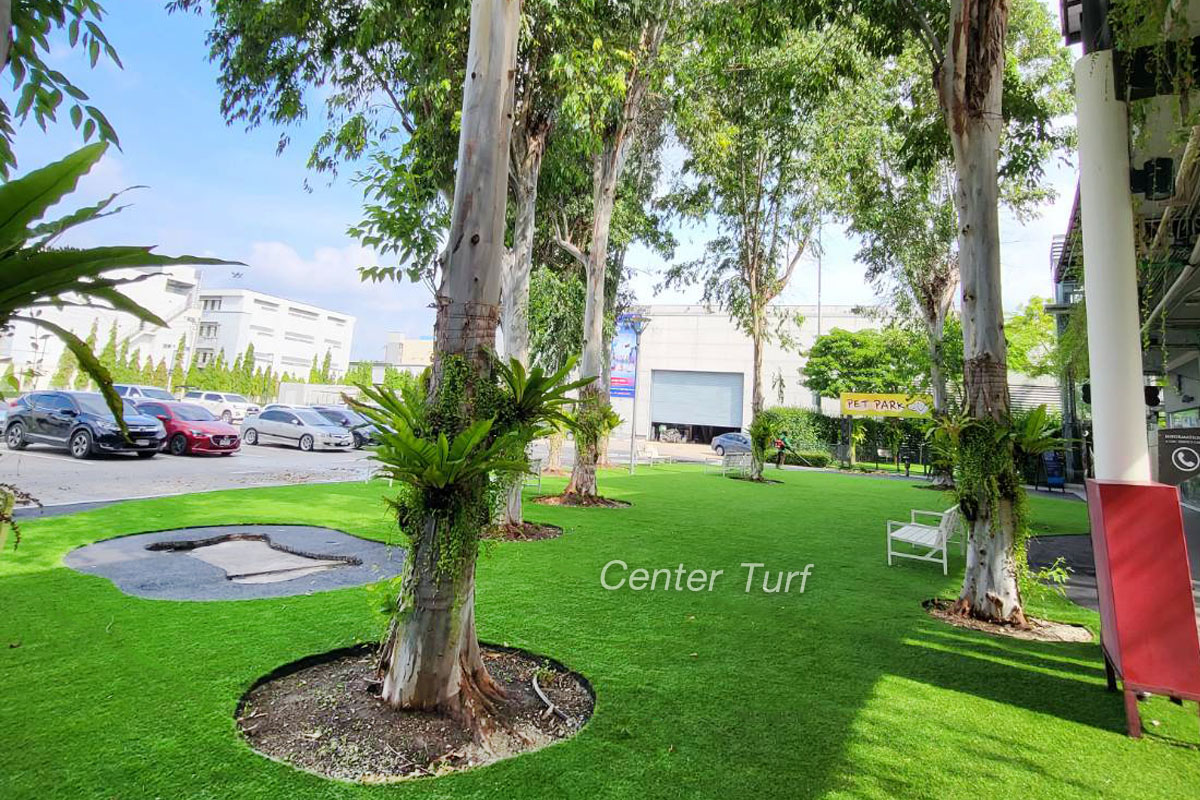 เนตรมิตรลานกว้างเพื่อเอาใจน้องๆสัตว์เลี้ยงด้วย #หญ้าเทียมCenterTurf