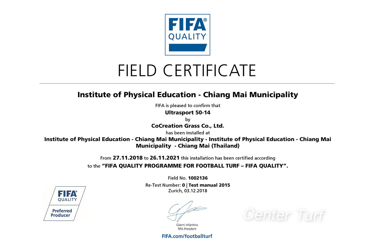 สนามฟุตบอลหญ้าเทียมมาตรฐาน 11 คน