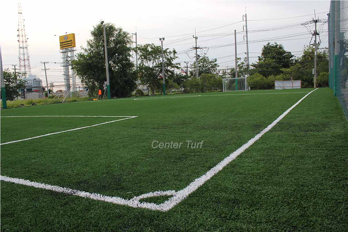 สนามบอลหญ้าเทียมลำพูนวอริเออร์คลับ