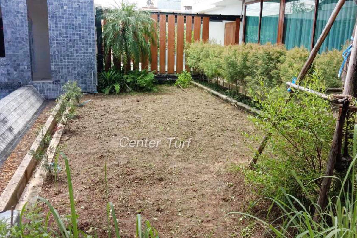 เปลี่ยนสวนหญ้าจริงเป็นหญ้าเทียม