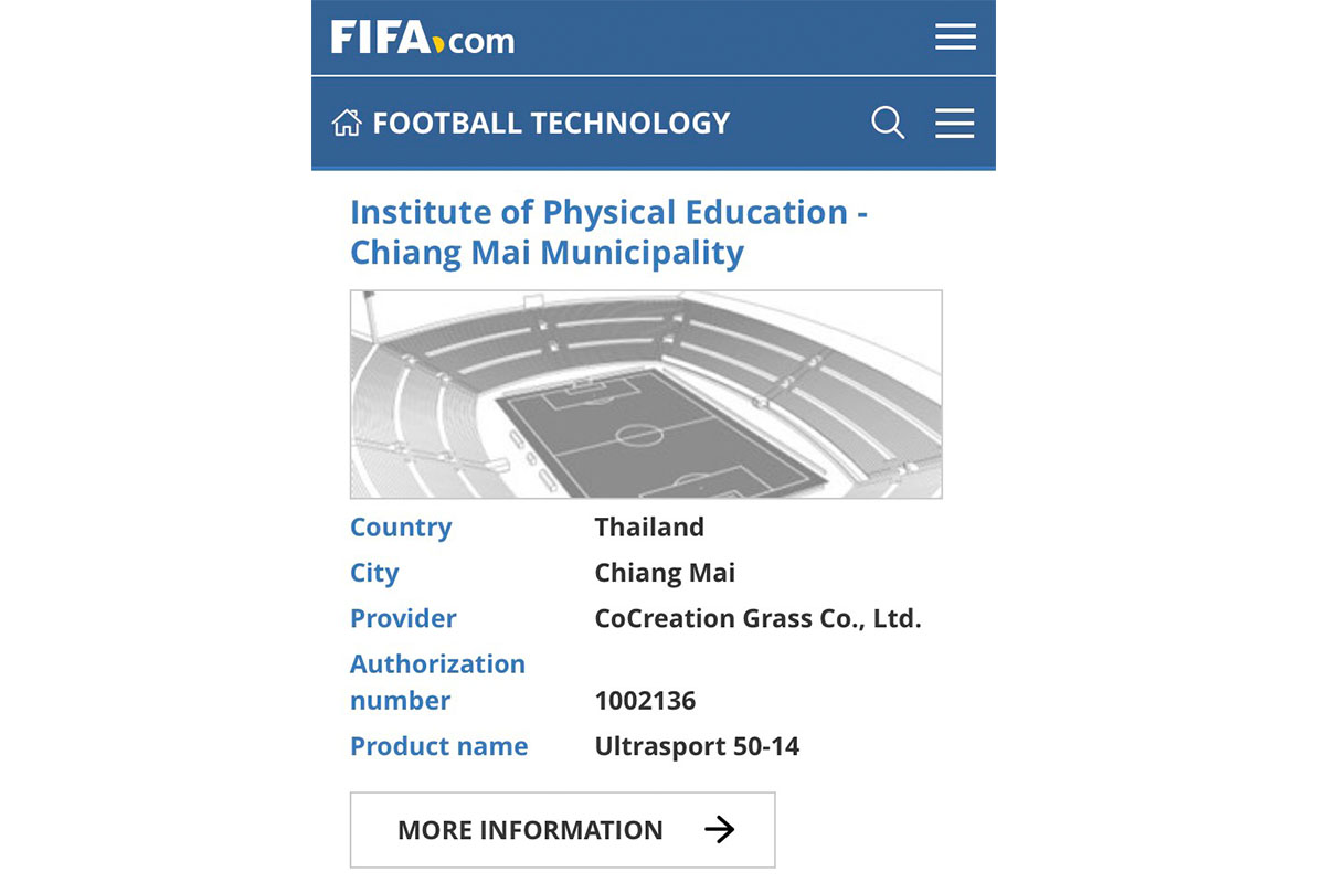 สนามฟุตบอลหญ้าเทียมมาตรฐาน 11 คน