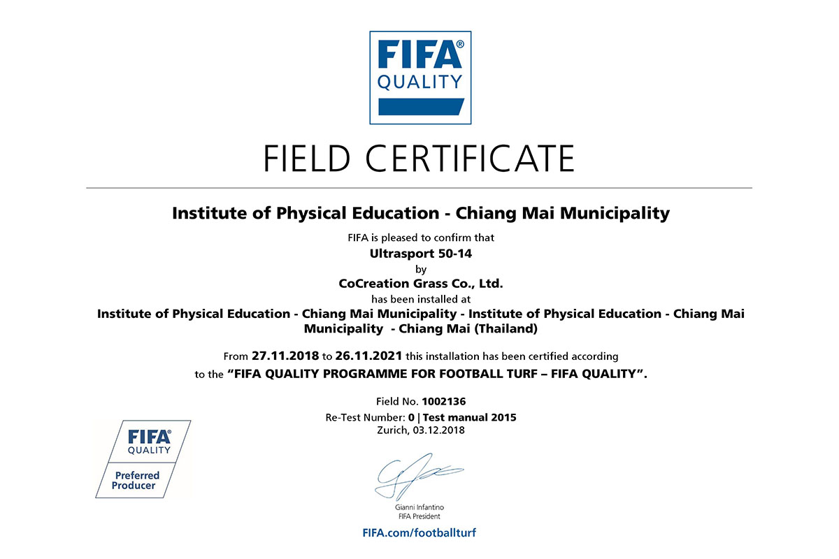 สนามฟุตบอลหญ้าเทียมมาตรฐาน 11 คน