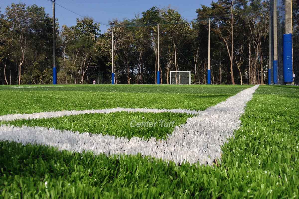 มหาวิทยาลัยเชียงใหม่วิทยาเขตหริภุญไชย จ.ลำพูน