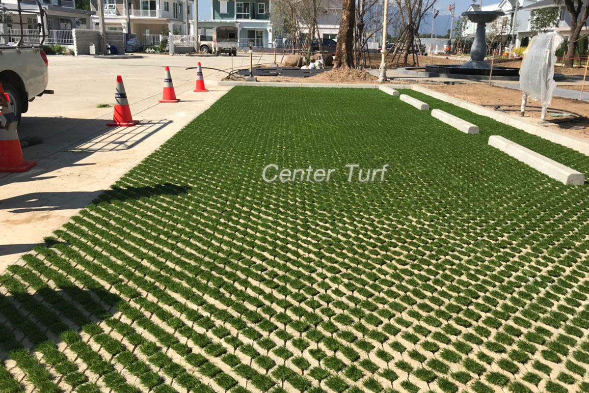 ติดตั้งหญ้าเทียมในบล็อก โครงการ Land and Houses Villaggio