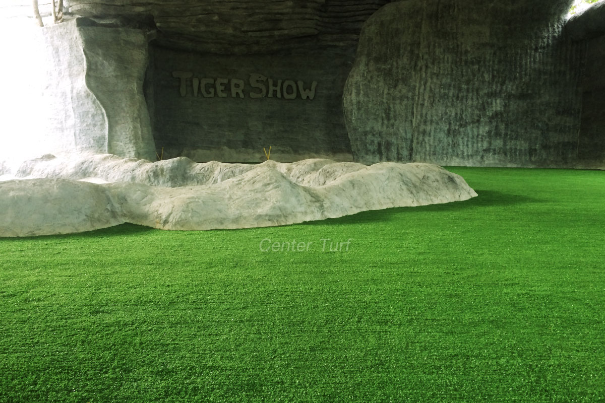 The Tiger Show - เชียงใหม่ไนท์ซาฟารี