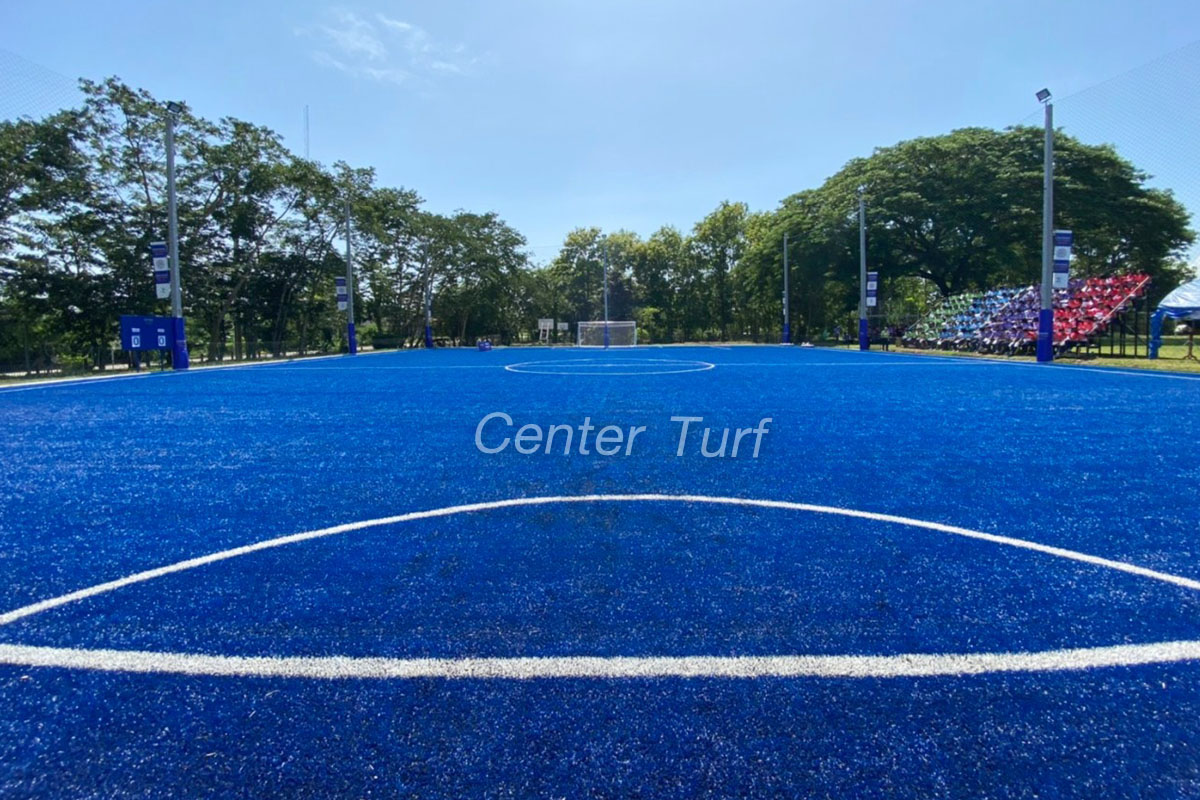 สนามฟุตบอลหญ้าเทียม King Power รร.ท่าลี่วิทยา จ.เลย