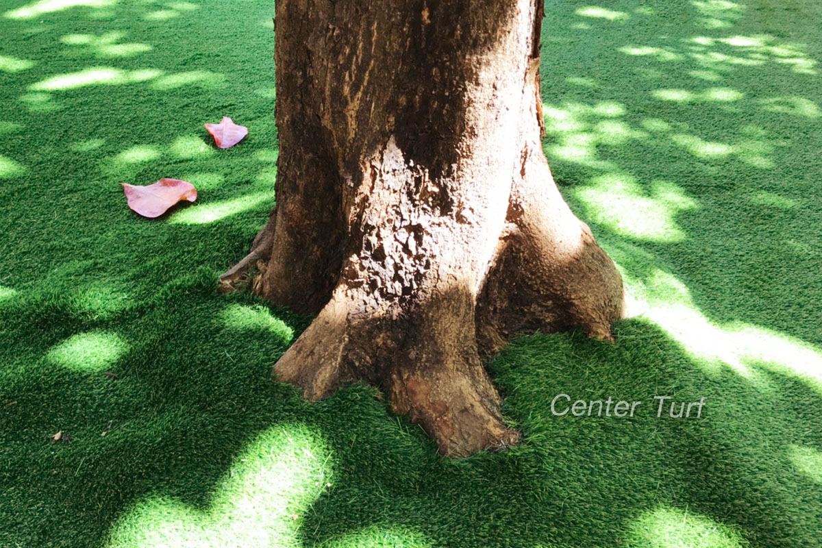 สนามเด็กเล่นหญ้าเทียม โรงเรียนดาราวิทยาลัย