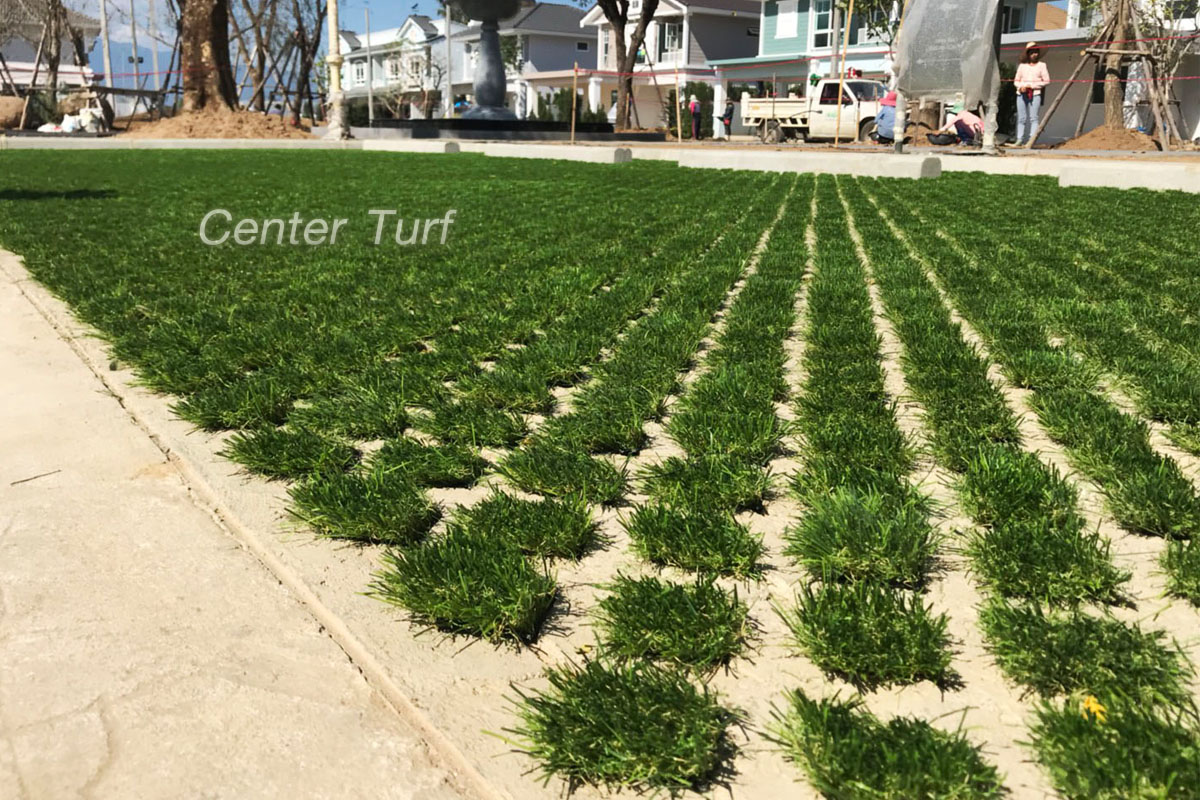 ติดตั้งหญ้าเทียมในบล็อก โครงการ Land and Houses Villaggio