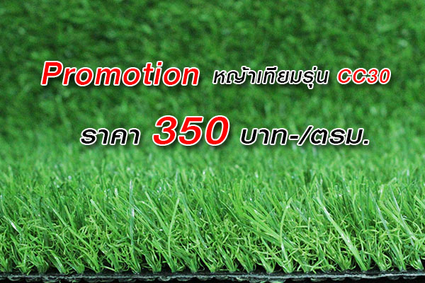 พิเศษที่สุดในรอบปี!! หญ้าเทียม รุ่น CC30 (30มม.หนาแน่นสูง) เพียง 350.-/ตรม.